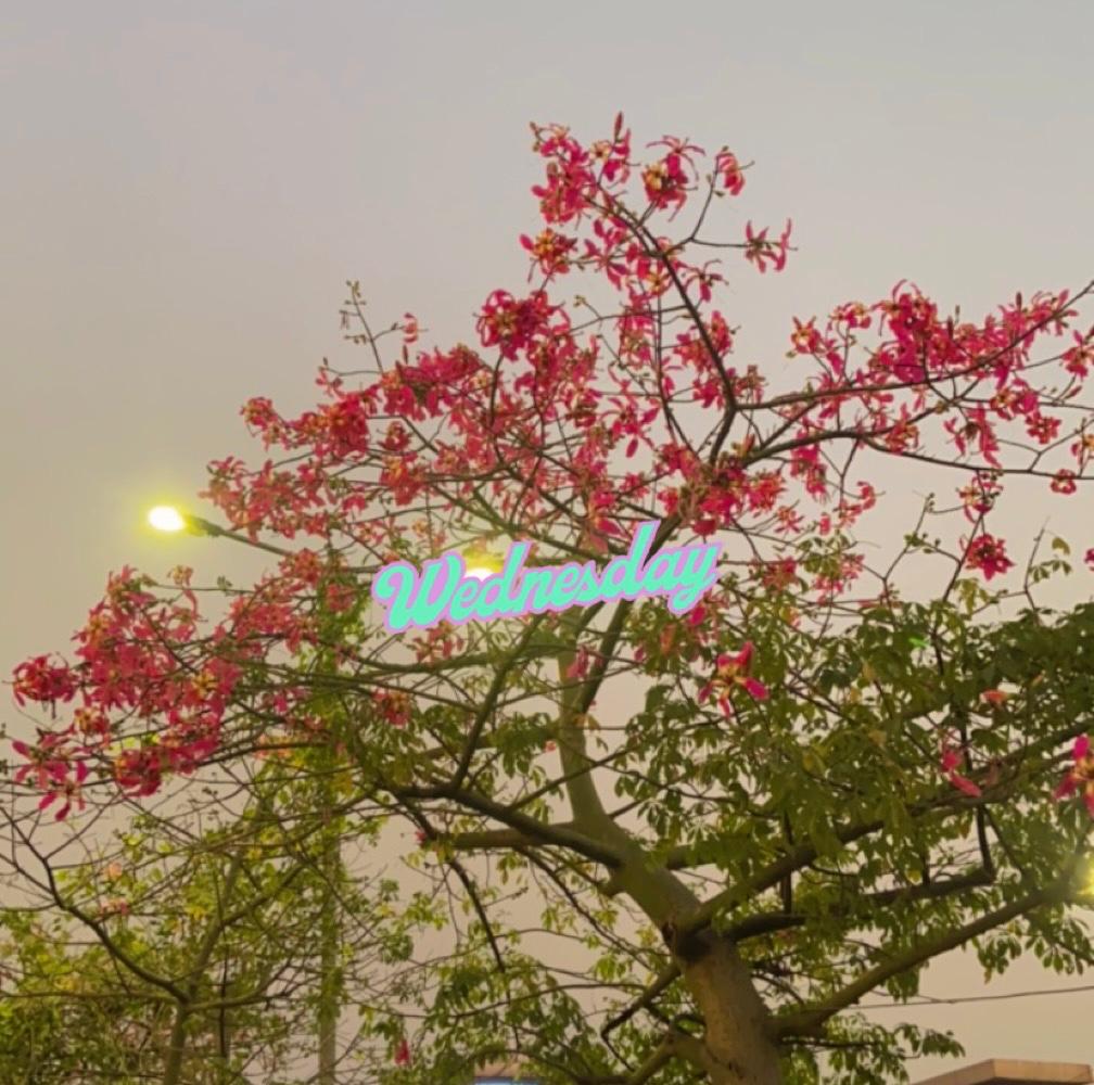 Heritage wedding venues in Lucknow, Best wedding venues in Lucknow, Wedding venues in Lucknow with price